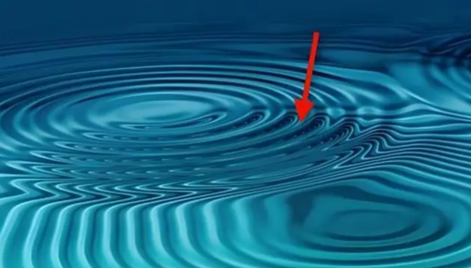 121212.png 121212.png